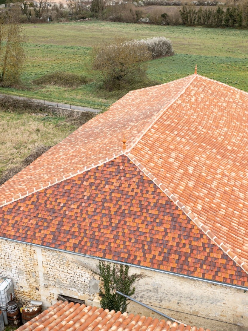 Toit en tuiles rouges vue aérienne champ